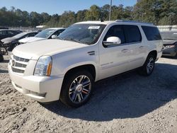 Cadillac salvage cars for sale: 2014 Cadillac Escalade ESV Premium