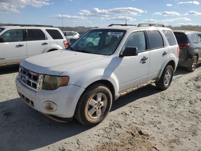 2010 Ford Escape XLT