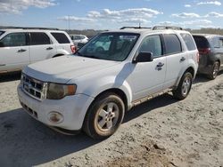 Carros salvage a la venta en subasta: 2010 Ford Escape XLT