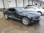 2013 Ford Mustang