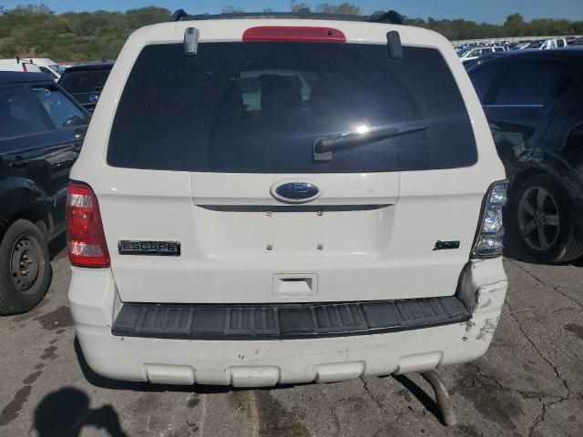 2011 Ford Escape XLS