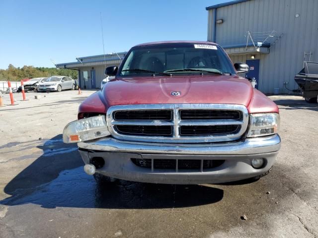 1999 Dodge Dakota