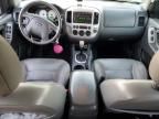 2005 Ford Escape XLT