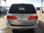 2010 Honda Odyssey EXL