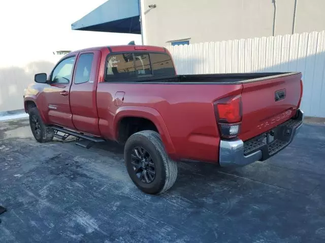 2023 Toyota Tacoma Access Cab