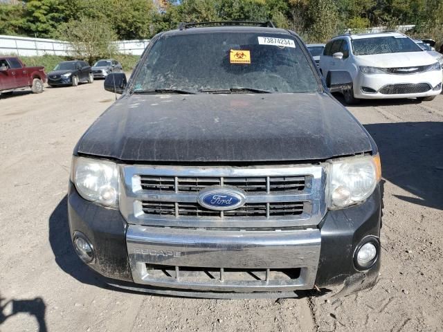 2011 Ford Escape Limited