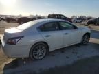 2014 Nissan Maxima S