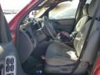 2006 Ford Escape XLT