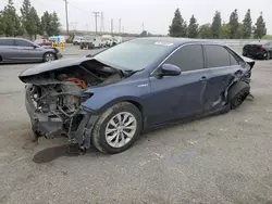 Salvage cars for sale at Rancho Cucamonga, CA auction: 2015 Toyota Camry Hybrid