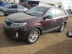 Salvage cars for sale at Brighton, CO auction: 2015 KIA Sorento LX