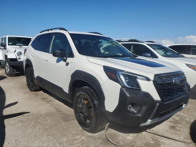 2024 Subaru Forester Wilderness