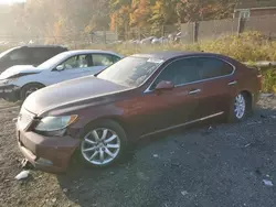 Salvage cars for sale at Baltimore, MD auction: 2008 Lexus LS 460