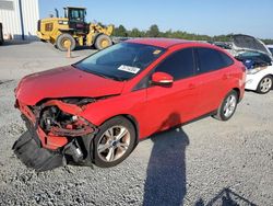 Salvage cars for sale at Lumberton, NC auction: 2013 Ford Focus SE