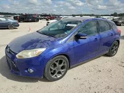 Salvage cars for sale at Houston, TX auction: 2013 Ford Focus SE