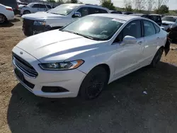 Salvage cars for sale at Elgin, IL auction: 2014 Ford Fusion SE