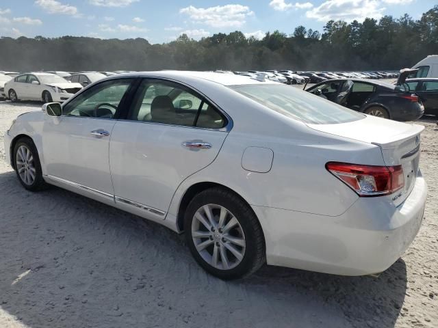 2010 Lexus ES 350