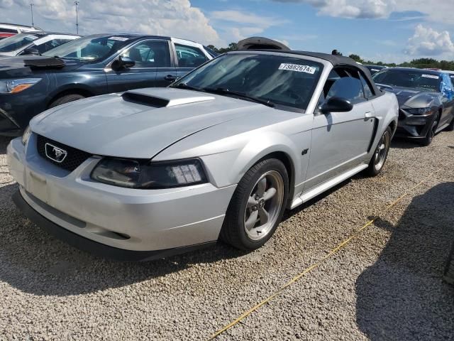 2002 Ford Mustang GT