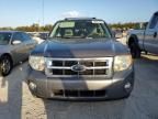 2008 Ford Escape HEV