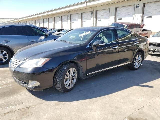 2010 Lexus ES 350