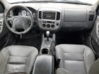 2005 Ford Escape XLT