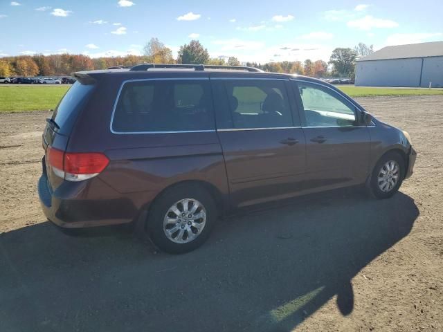 2008 Honda Odyssey EXL