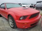 2008 Ford Mustang Shelby GT500