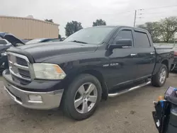 Salvage trucks for sale at Moraine, OH auction: 2010 Dodge RAM 1500