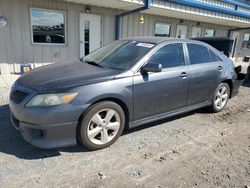 Salvage cars for sale at Earlington, KY auction: 2010 Toyota Camry Base