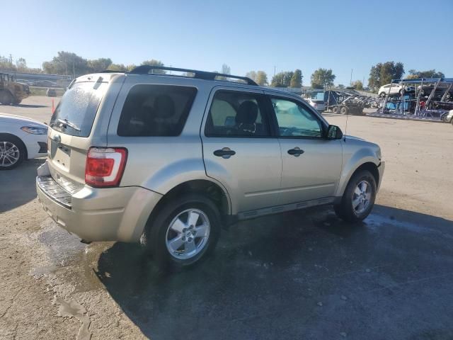 2010 Ford Escape XLT