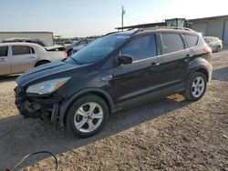 2013 Ford Escape SE en venta en Temple, TX