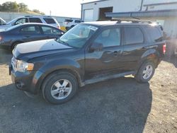 Ford salvage cars for sale: 2009 Ford Escape XLT