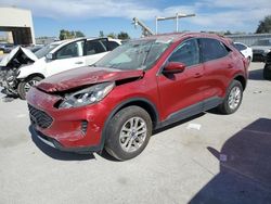 Salvage cars for sale at Kansas City, KS auction: 2020 Ford Escape SE