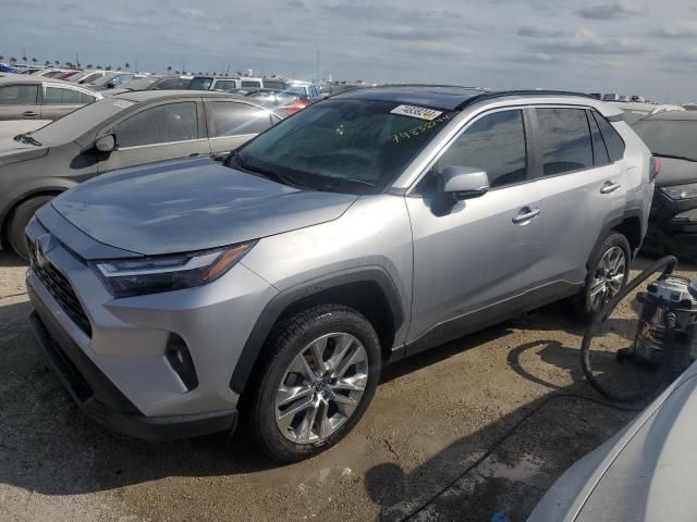 2024 Toyota Rav4 XLE Premium