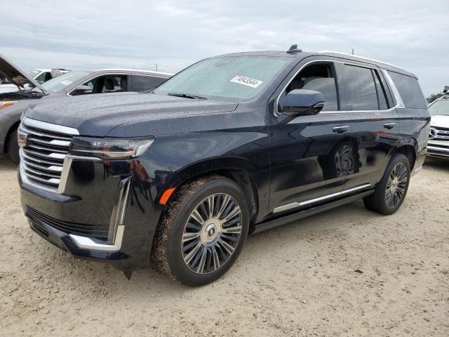 2021 Cadillac Escalade Premium Luxury Platinum