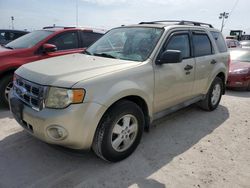 Ford Vehiculos salvage en venta: 2010 Ford Escape XLT