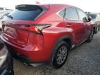 2019 Lexus NX 300 Base