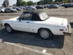 1979 Alfa Romeo Spider