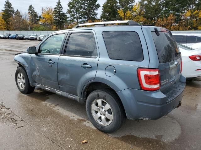 2010 Ford Escape Limited