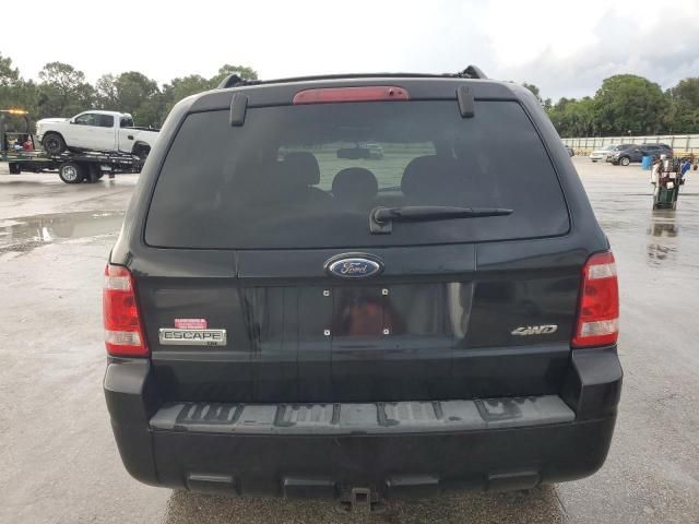 2008 Ford Escape XLT