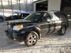 2007 Honda Pilot EXL