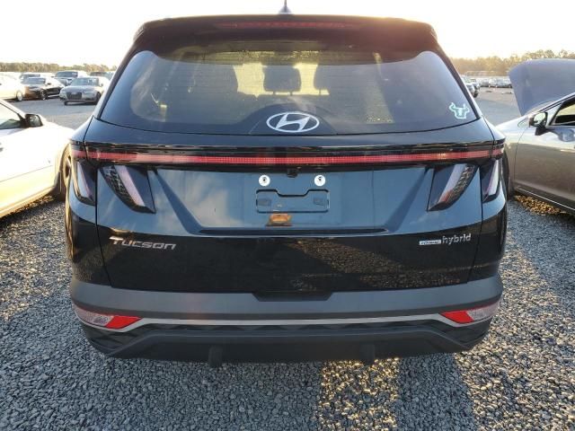 2022 Hyundai Tucson SEL Convenience