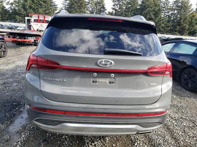 2023 Hyundai Santa FE SEL Premium