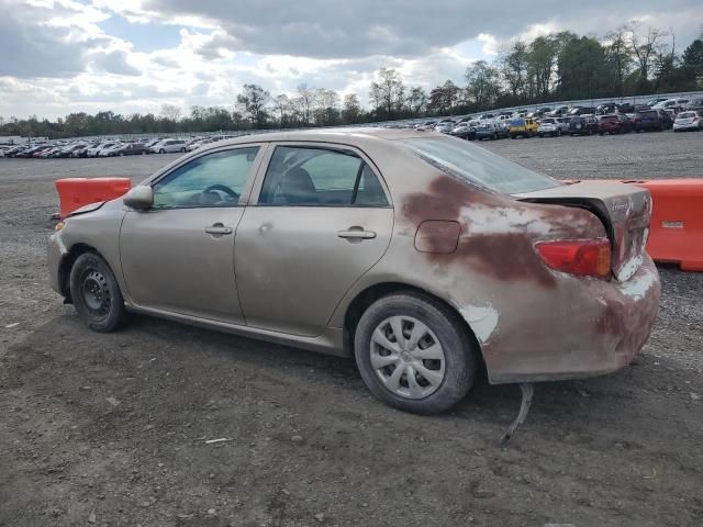 2010 Toyota Corolla Base