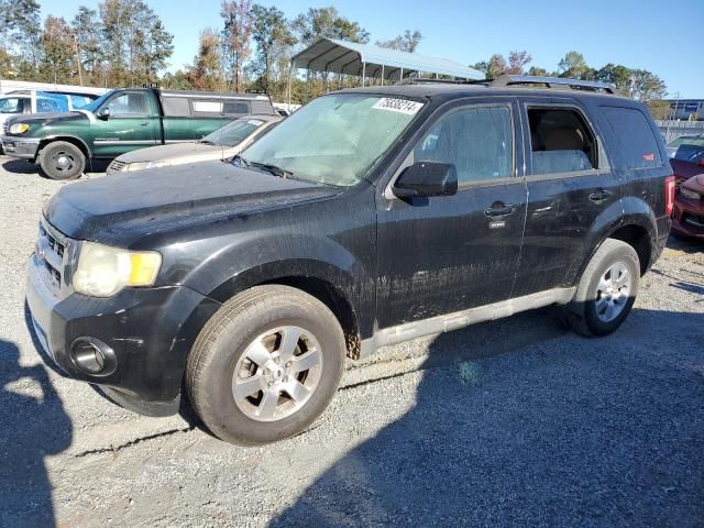 2010 Ford Escape Limited