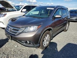 Salvage cars for sale at Midway, FL auction: 2013 Honda CR-V EXL