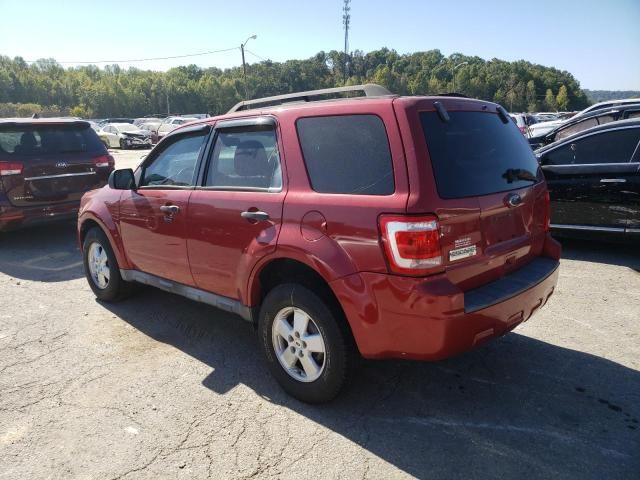 2010 Ford Escape XLT