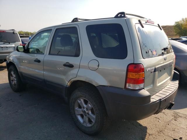 2005 Ford Escape XLT