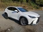 2022 Lexus NX 350