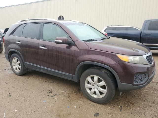 2011 KIA Sorento Base