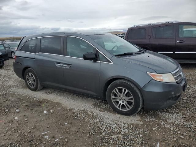 2012 Honda Odyssey EXL